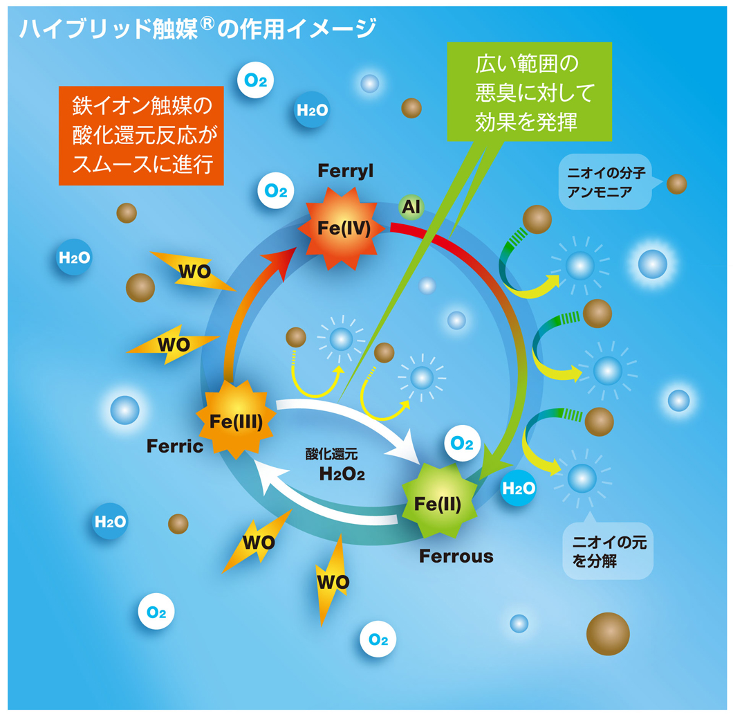 ダイイチ 島根 ラーフエイド
